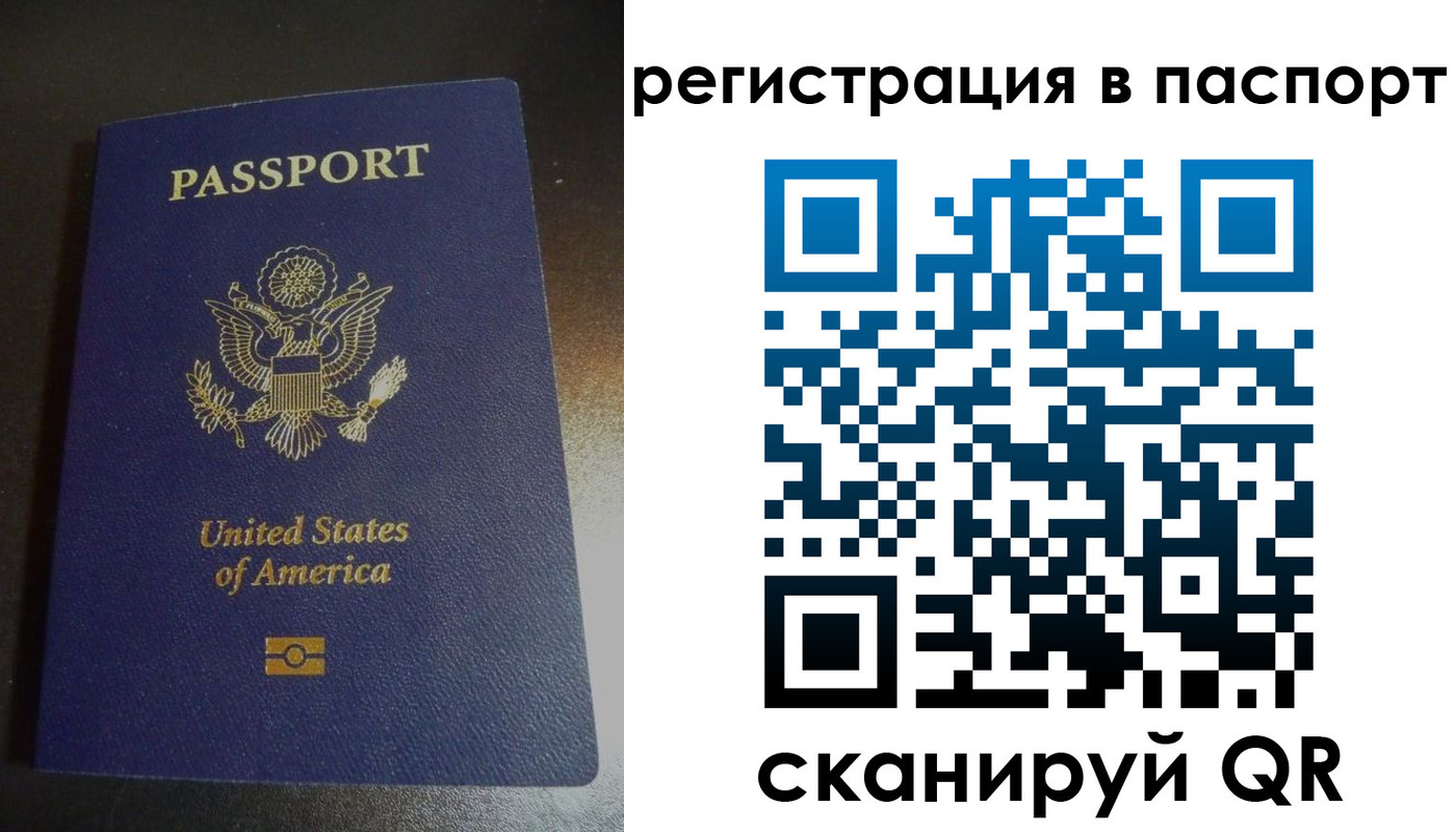 прописка для школы в Кировске